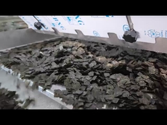 Dried Seaweed Sheet Sorting