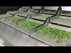 Διαλογιστής λαχανικών