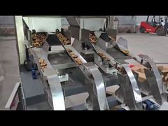 Walnut Sorting Part1