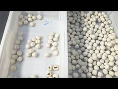 Ταξινόμηση Fishball